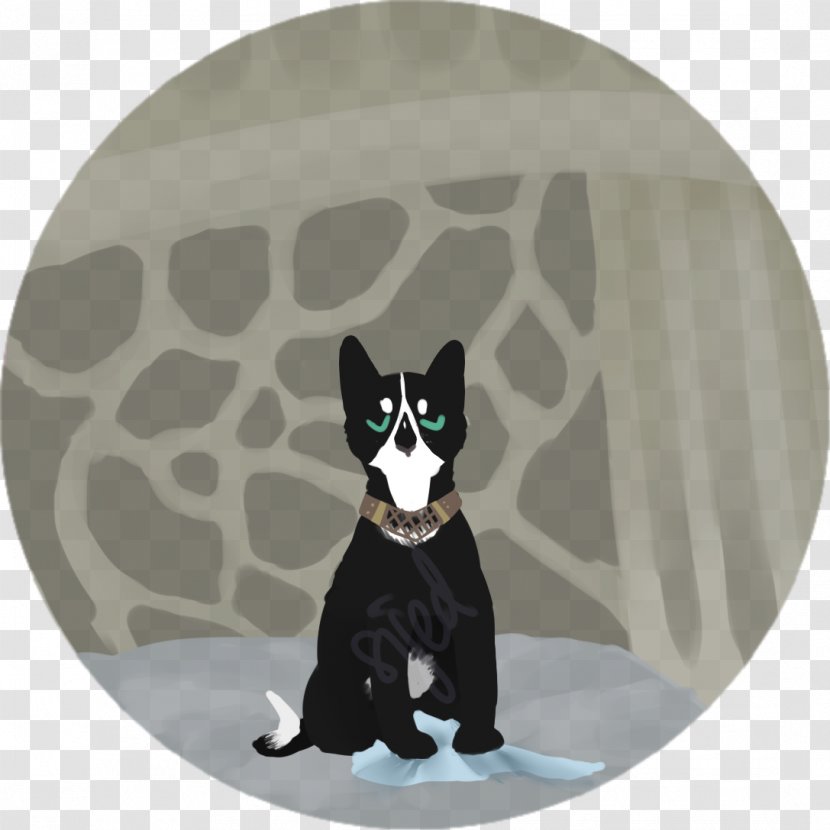 Whiskers Dog Breed Cat Felicia Hardy - Black - Peace Quiet Transparent PNG