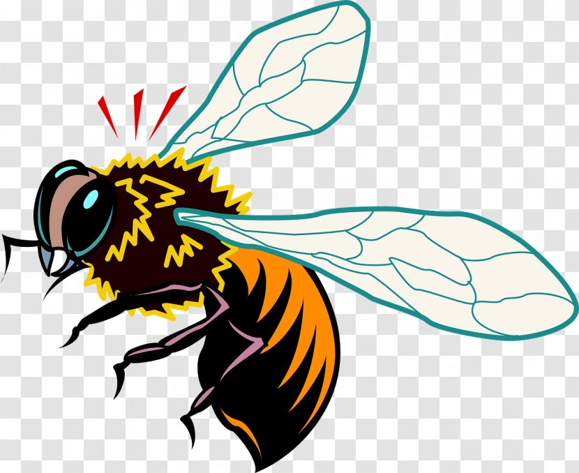 Queen Bee Insect Clip Art - Neonicotinoid Transparent PNG