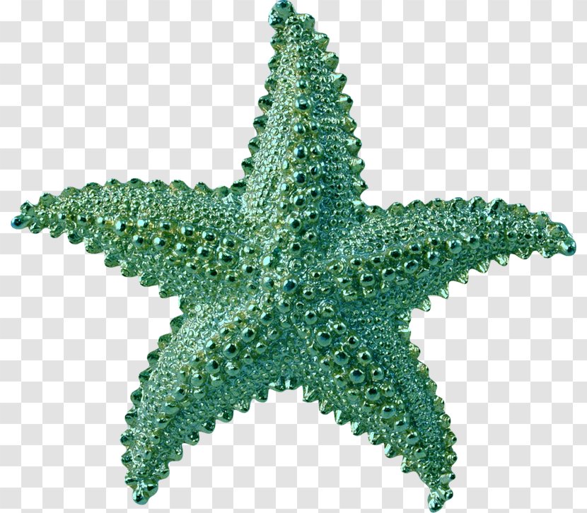 Starfish Clip Art - Information Transparent PNG