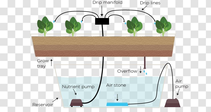 Hydroponics Drip Irrigation Ebb And Flow Garden Agriculture Transparent PNG