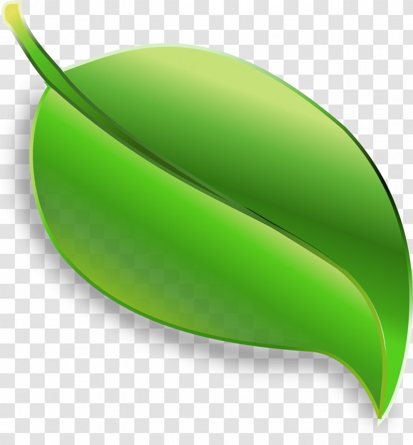 Green - Grass - Wathet Transparent PNG