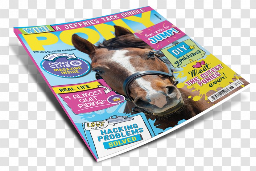 Horse PONY Magazine Snout - Experience Transparent PNG