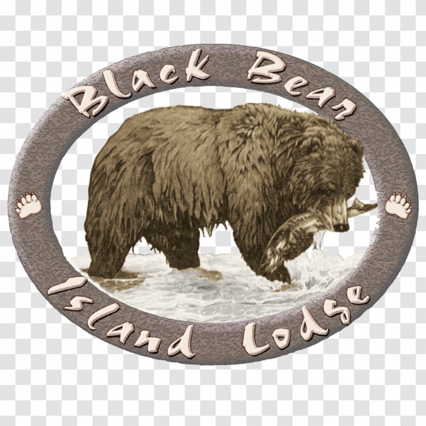 Grizzly Bear American Black Hunting - Wildlife Transparent PNG