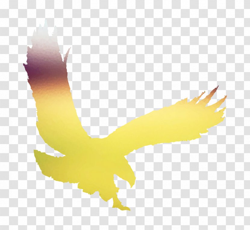 Bald Eagle Yellow Beak Desktop Wallpaper Hawk - Logo Transparent PNG
