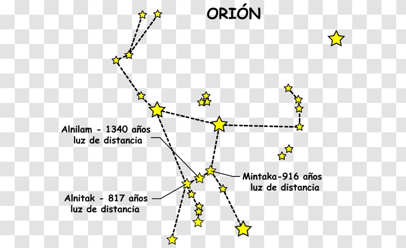 Orion's Belt Star Constellation Rigel - Organism Transparent PNG