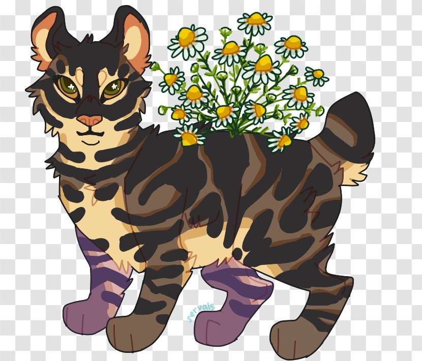 Whiskers Cat Tiger Art - Cartoon Transparent PNG