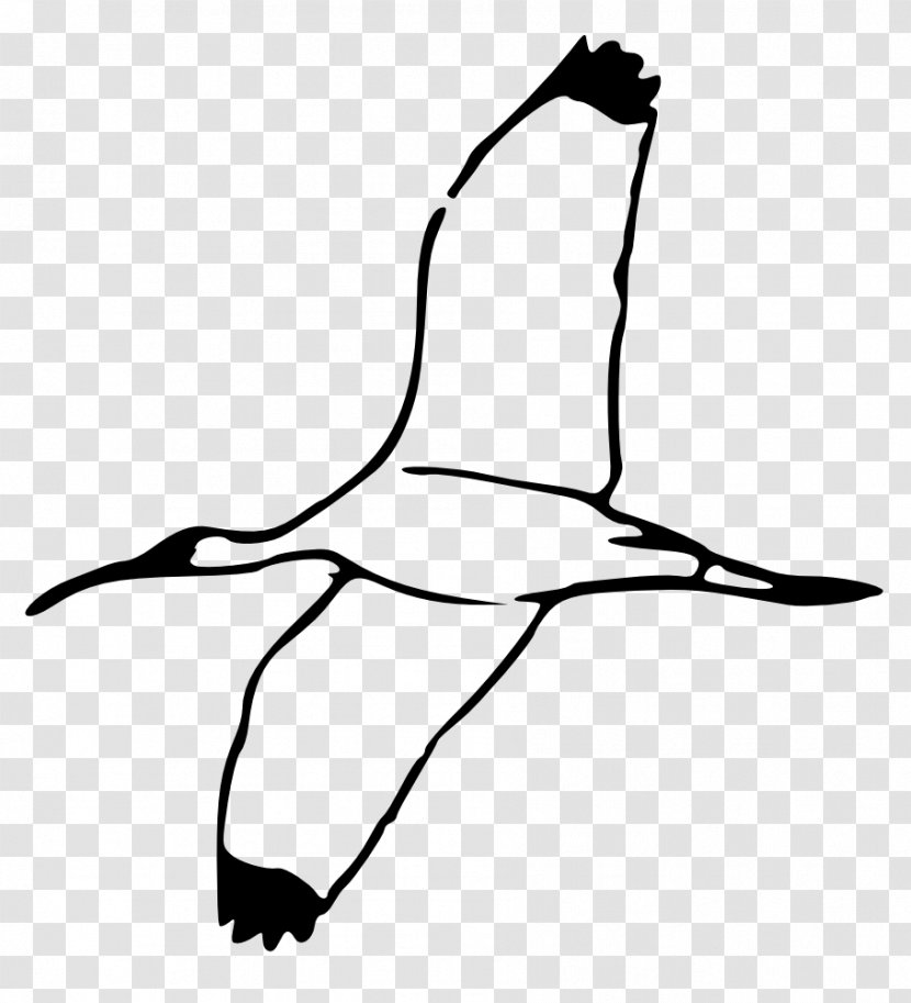 Bird Crane Ibis Clip Art - Line Transparent PNG