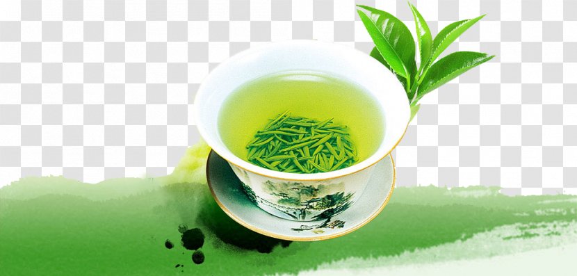 Green Tea Yum Cha Tieguanyin Longjing - Grass Family Transparent PNG