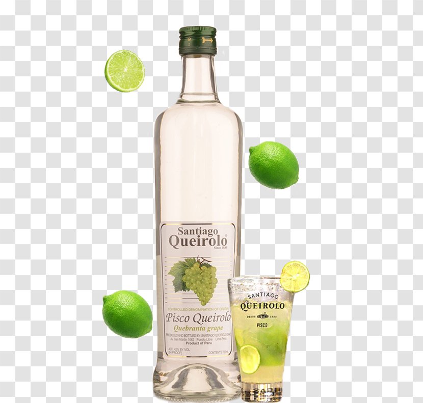 Gin And Tonic Pisco Caipirinha Chilcano Mojito - Sangria Transparent PNG