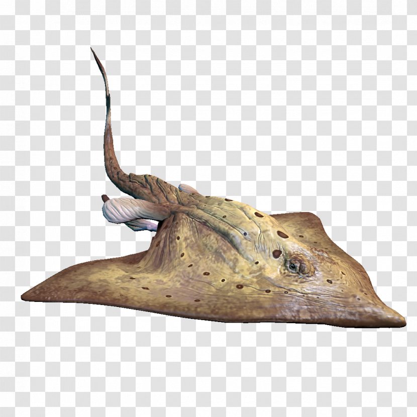 Warframe Sand Desert Skate Batoidea Transparent PNG