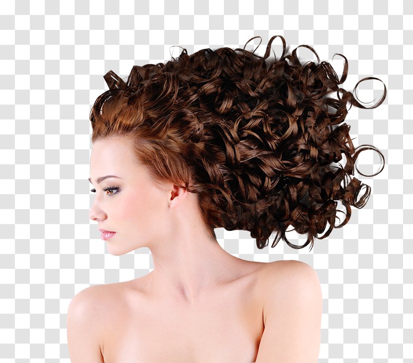 Beauty Parlour Hairstyle Human Hair Growth Fashion - Long Transparent PNG