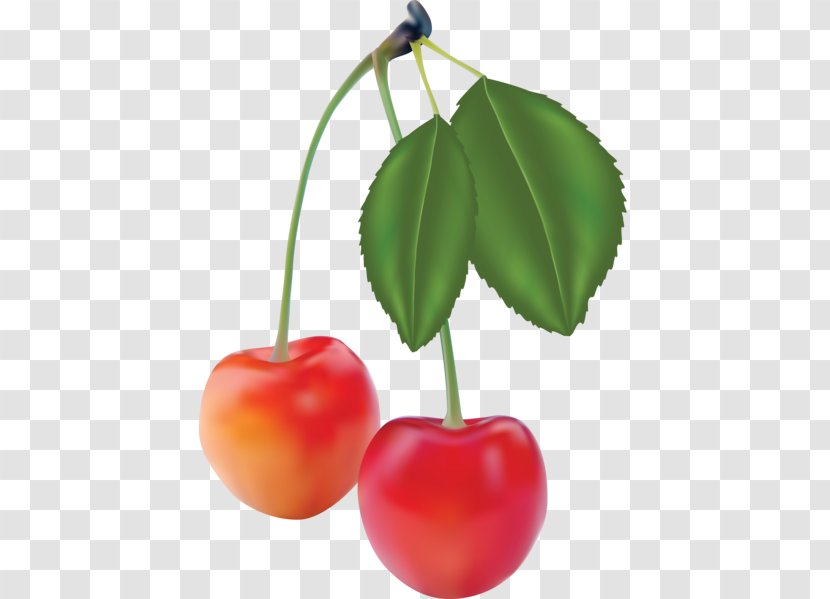 Fruit Photorealism - Cherry - Apple Transparent PNG
