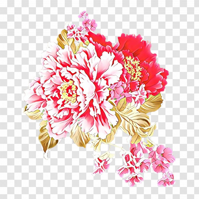 Flower Cut Flowers Pink Carnation Peony - Chinese Petal Transparent PNG