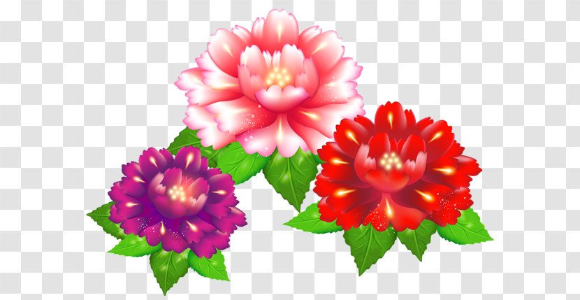 Floral Design Flower Clip Art - Magenta Transparent PNG