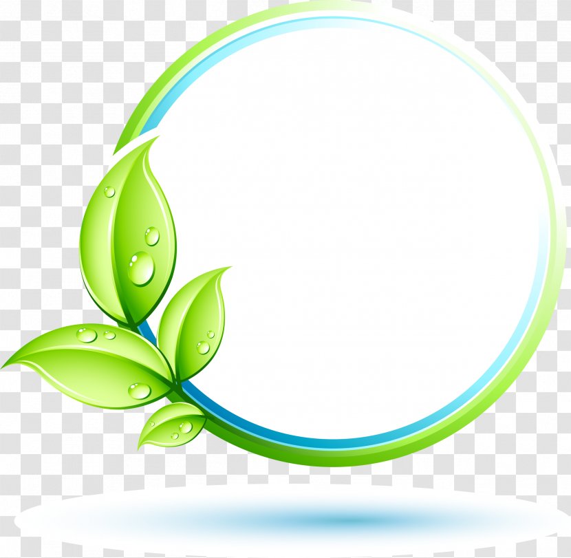 Green Plant Fotolia - Color Transparent PNG