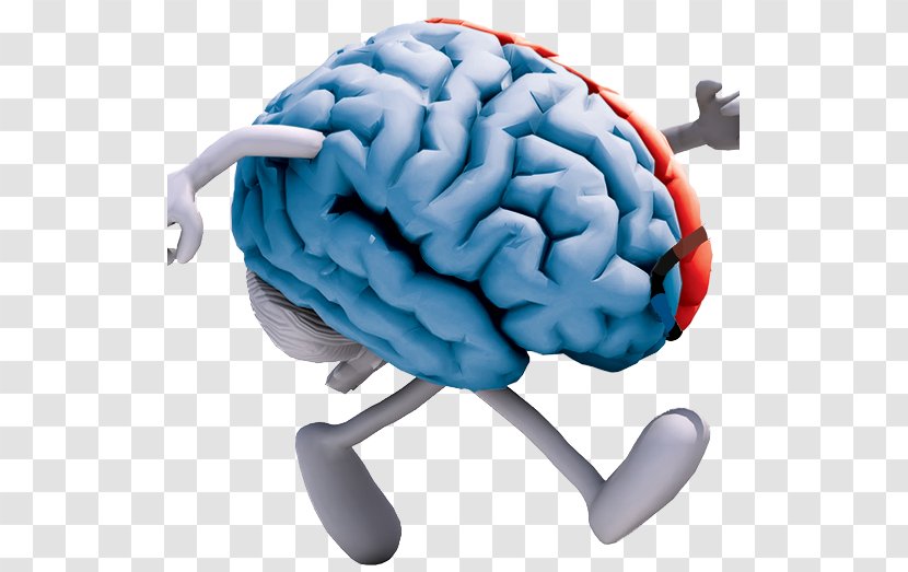 Exercise Brain Cognitive Training Neuroscience Neuroplasticity - Tree - Work Life Balance Transparent PNG