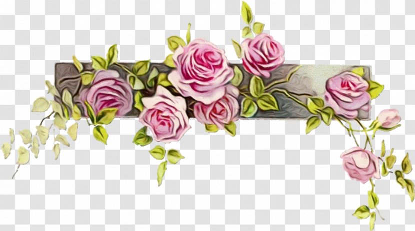 Watercolor Floral Background - Garden Roses - Artificial Flower Hybrid Tea Rose Transparent PNG