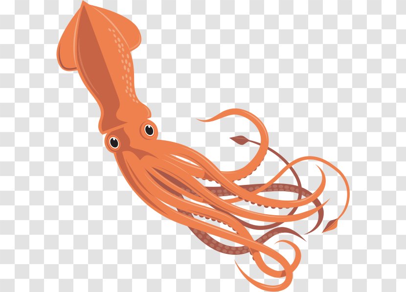 Giant Squid Octopus Cephalopod Invertebrate - Fish Transparent PNG