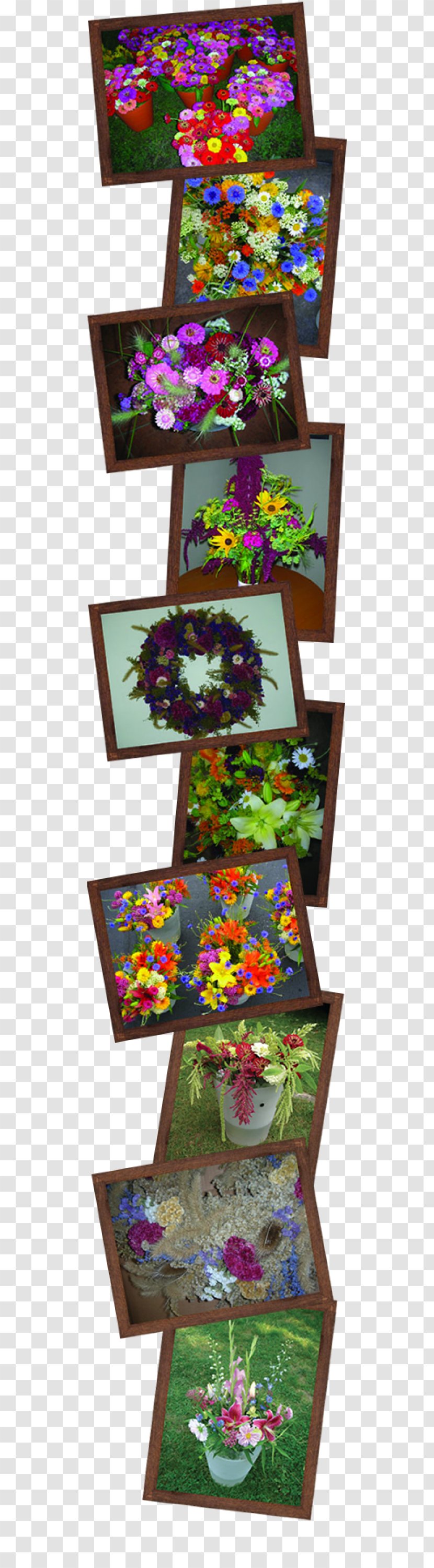 Yarrow Flower Bouquet Cut Flowers Cherry Valley Organics - Organic Certification - Ornamental Peppers Transparent PNG