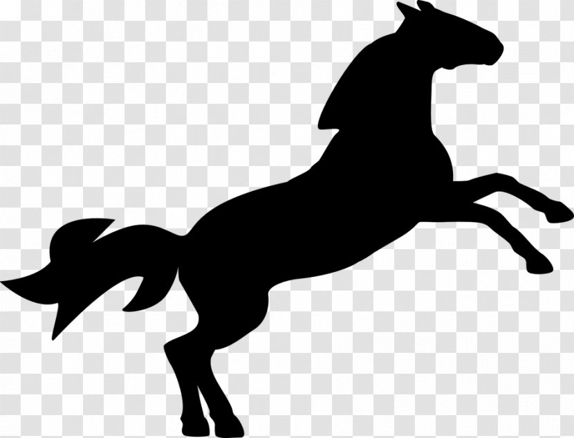 Horse - Jumping - Tail Mare Transparent PNG