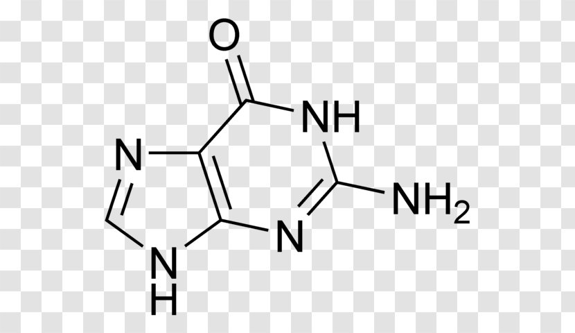 Guanine Guanosine Monophosphate Adenine Cytosine - Heart - Organization Structure Transparent PNG