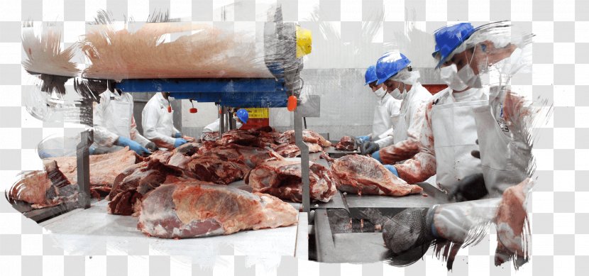 Meat Slaughterhouse Food Processing Service - Butcher Transparent PNG