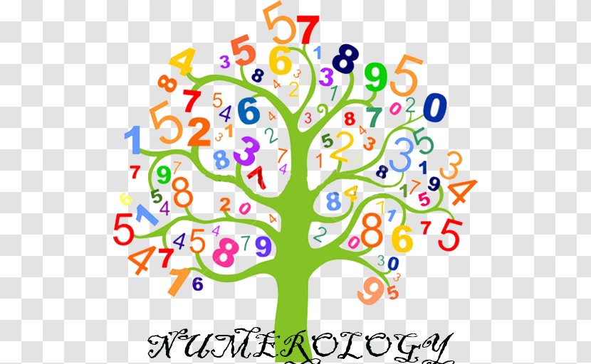 Stock Photography Number Illustration Mathematics Tree - Flower Transparent PNG