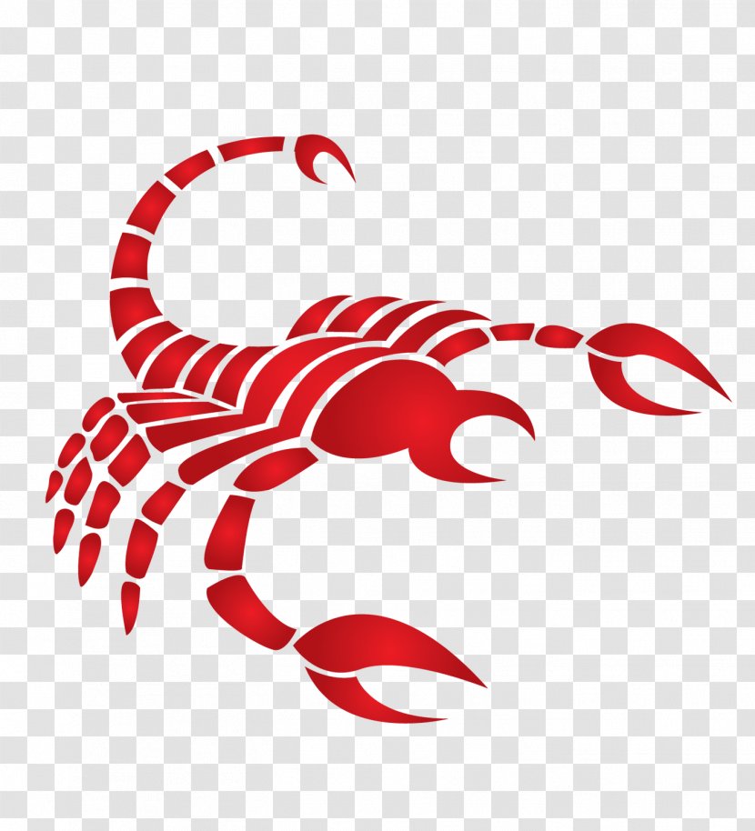 Scorpio Horoscope Astrology Astrological Sign Taurus - Organism - Scorpions Transparent PNG