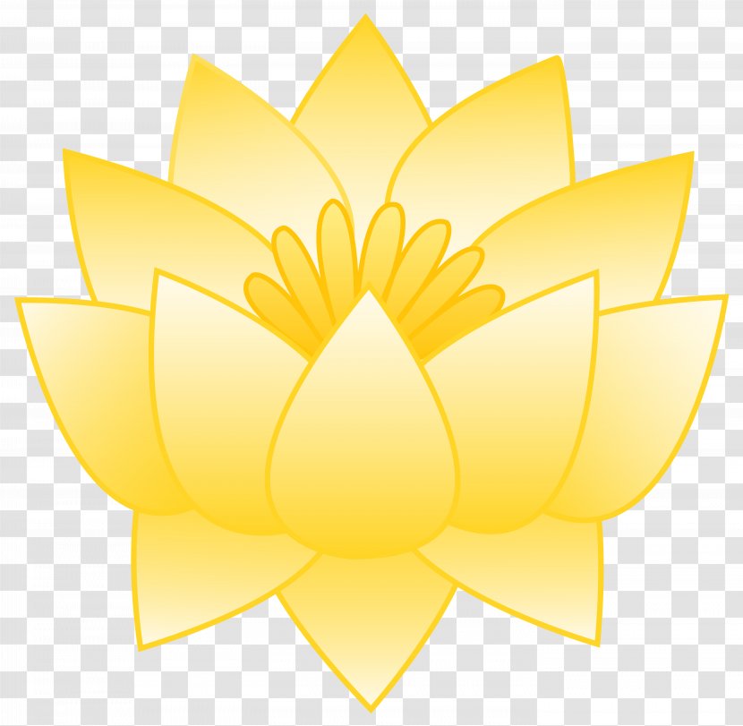 Nelumbo Nucifera Lutea Flower Yellow - Plant - Lotus Transparent PNG