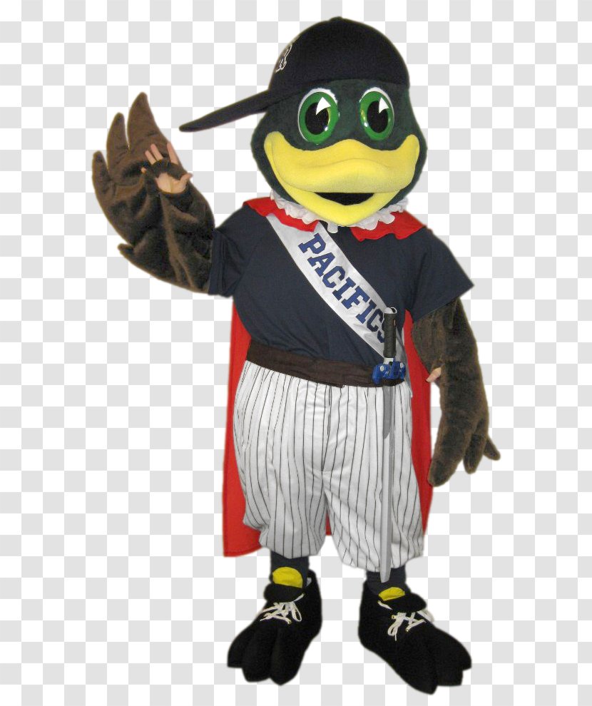 San Rafael Pacifics Sugar's Mascot Costumes - Wtvt - Ducks Transparent PNG