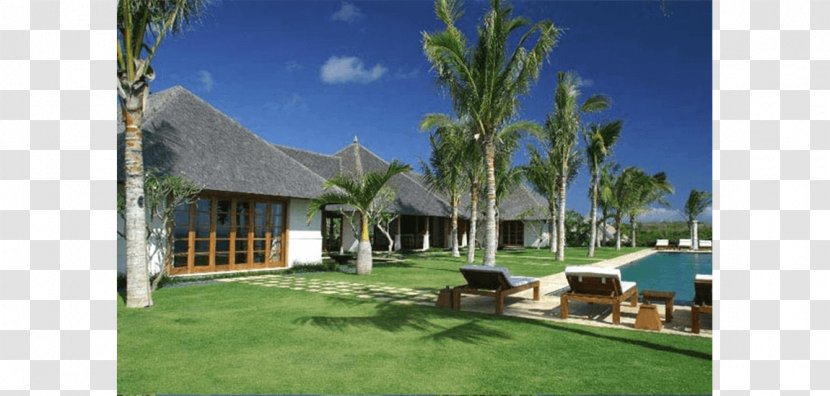 Arecaceae Resort Vacation Property Lawn Transparent PNG