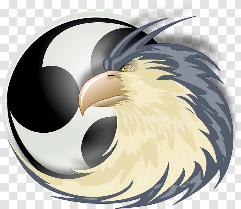 Bird Of Prey Beak Eagle Transparent PNG