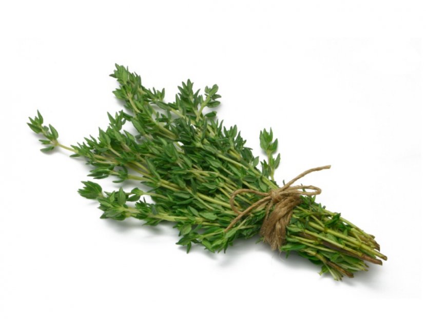 Organic Food Thyme Herb Ingredient Parsley - Coriander - Herbs Transparent PNG