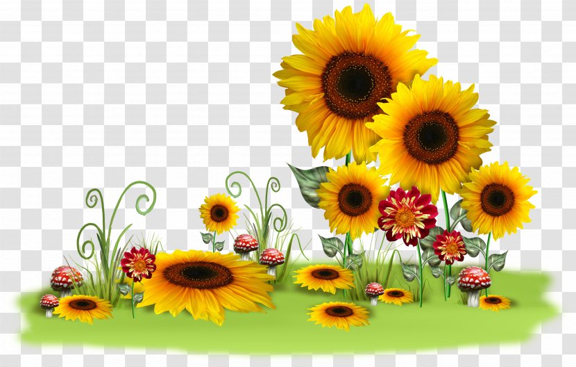 Message Morning Day - Email - Sunflower Oil Transparent PNG