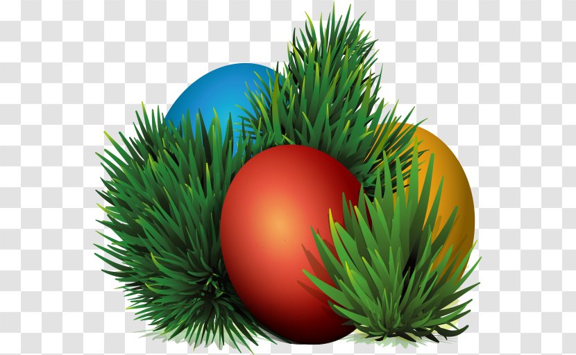 Nest - Grass - Egg Transparent PNG