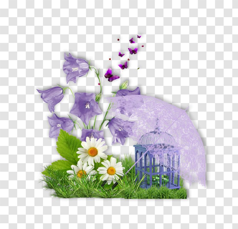 Floral Design Cut Flowers Flower Bouquet Petal - Violet Family Transparent PNG