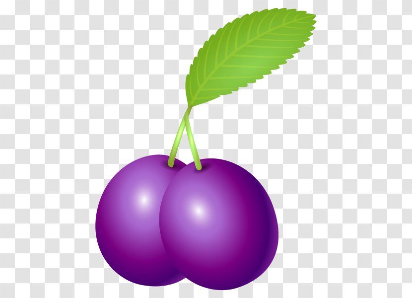 Illustration Fruit Prune Pikmin Download - Violet - Flower Transparent PNG