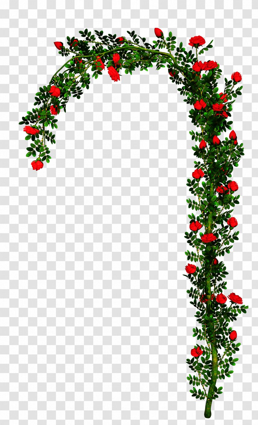 Christmas Decoration Drawing - Ivy Transparent PNG
