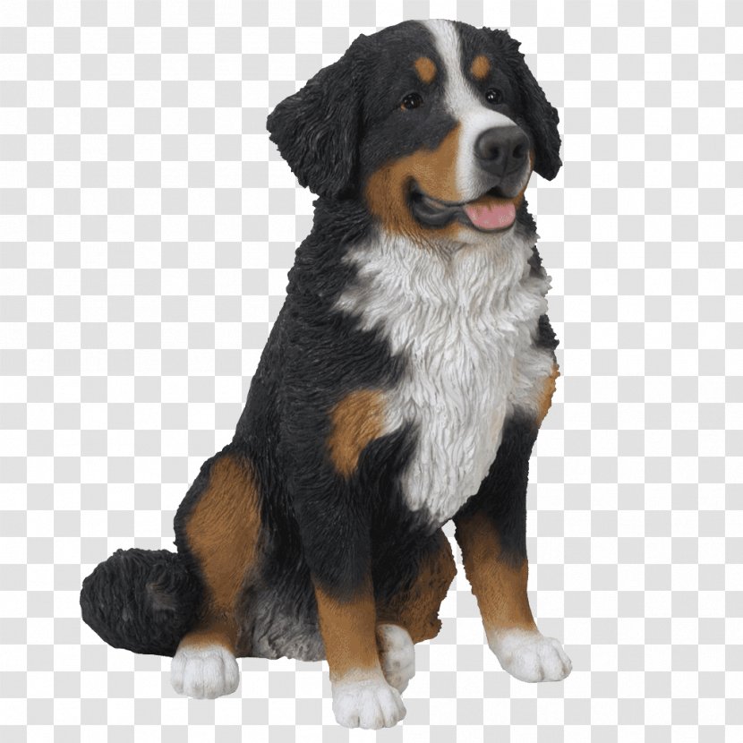 Bernese Mountain Dog Breed Greater Swiss Companion Clip Art - Group Transparent PNG