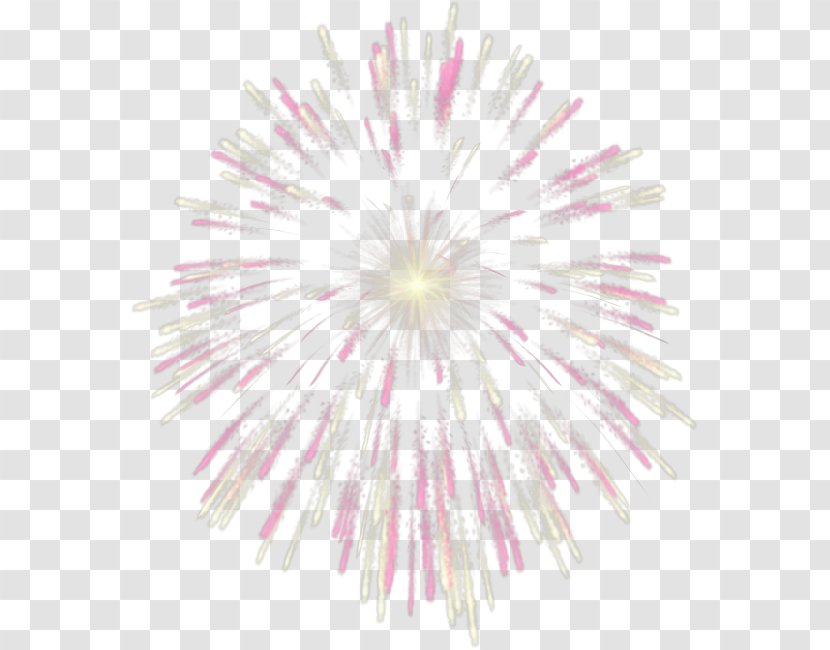 Fireworks Free Clip Art - Sky Transparent PNG