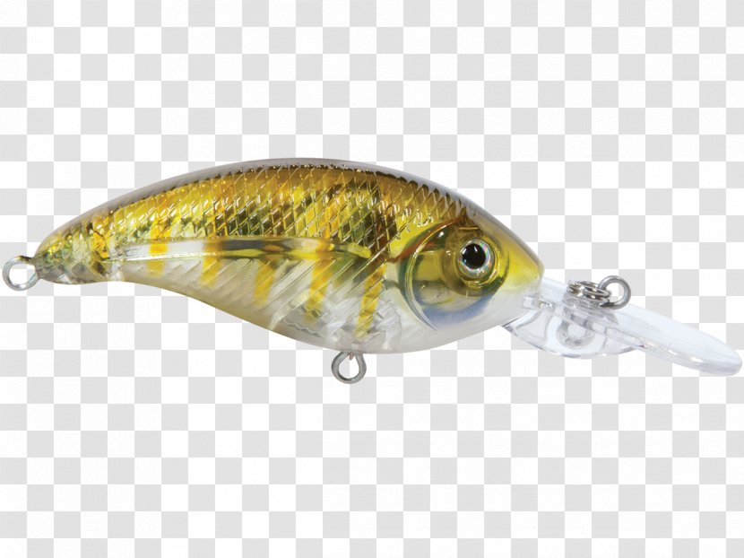 Spoon Lure Perch Fish AC Power Plugs And Sockets - Bream Transparent PNG
