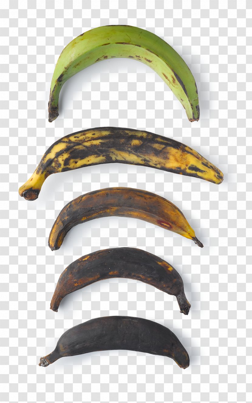 Fried Plantain Cooking Banana Keyword - Cartoon Transparent PNG