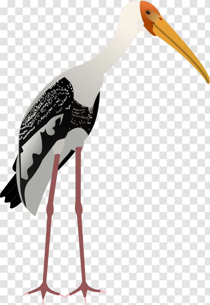 White Stork Crane Bird - Wing Transparent PNG