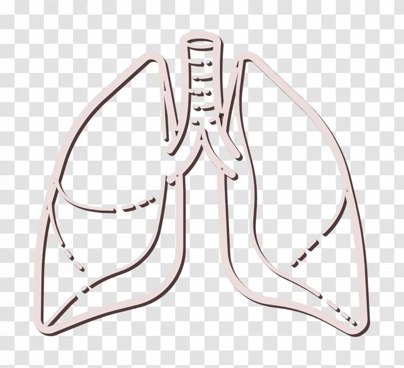 Human Anatomy Icon Lungs Icon Lung Icon Transparent PNG