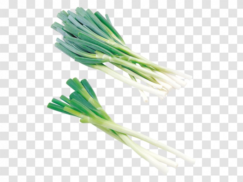 Cong You Bing Welsh Onion Vegetarian Cuisine Scallion Shallots - Vegetable Transparent PNG