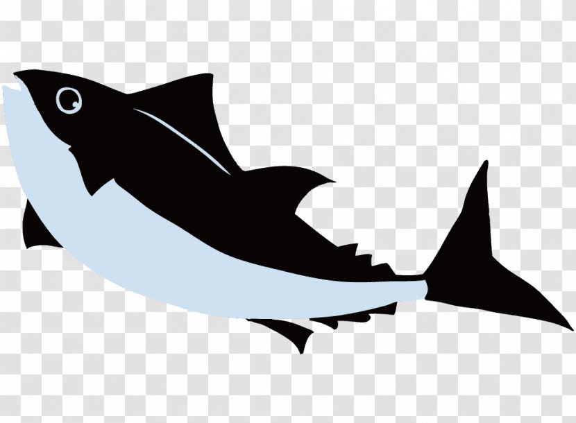 Shark Fin Background - Tuna Transparent PNG