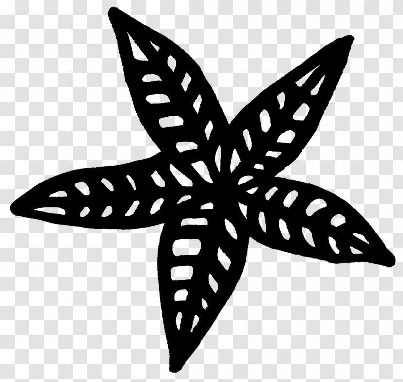 Symmetry Line Starfish Pattern - Butterfly Transparent PNG