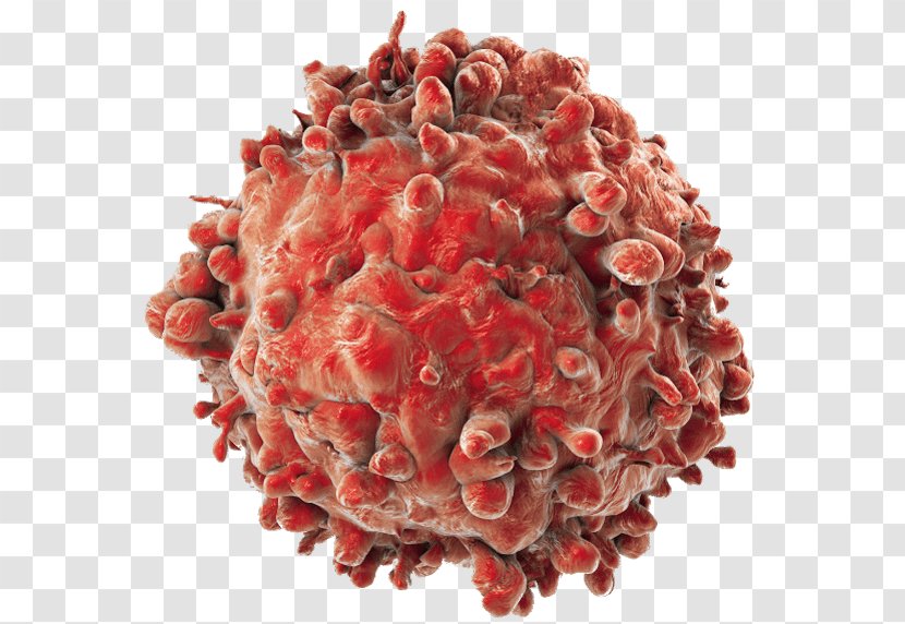 Cancer Cell Acute Myeloid Leukemia - Lymphocyte Icon Transparent PNG