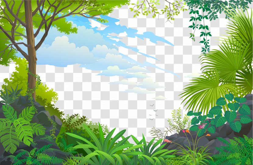 Tree Forest Wallpaper - Nature - Blue Space Transparent PNG