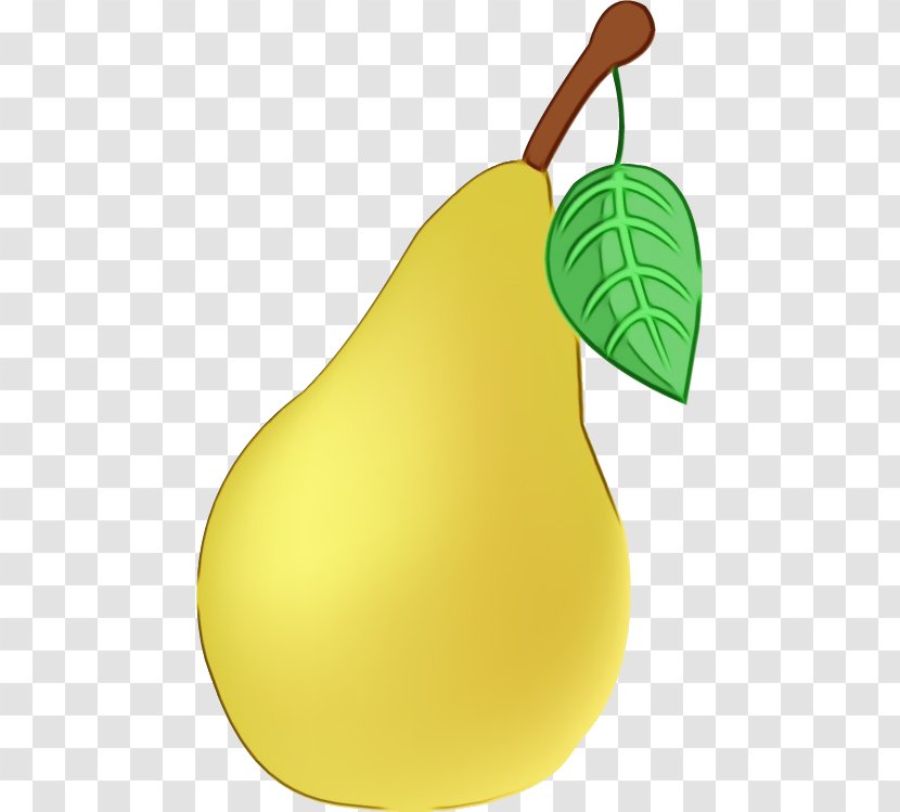 Fruit Tree - Woody Plant Transparent PNG